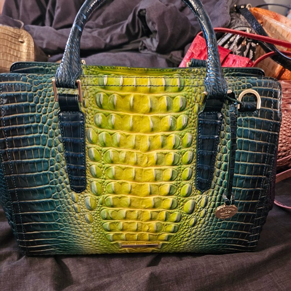 Brahmin Small Finley Zesty Green Ombre